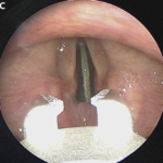 Screenshot 2024-12-13 at 8.54.35 AM